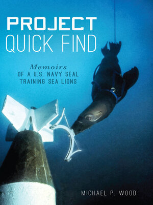cover image of Project Quick Find